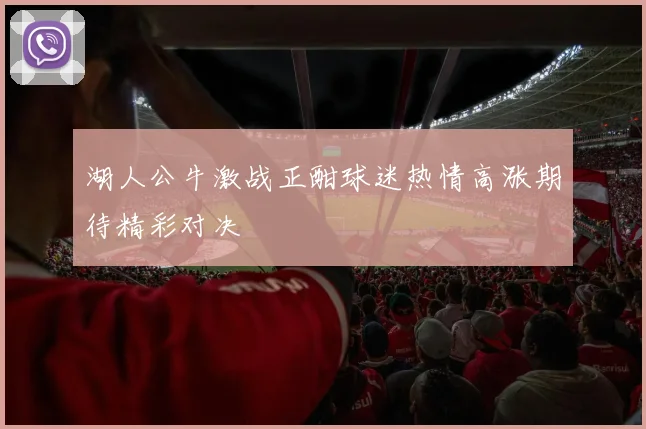 湖人公牛激战正酣球迷热情高涨期待精彩对决