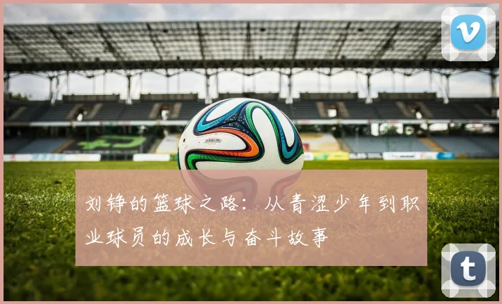 刘铮的篮球之路：从青涩少年到职业球员的成长与奋斗故事