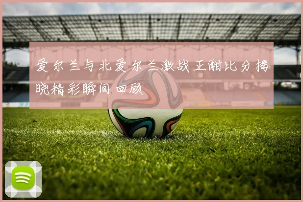 爱尔兰与北爱尔兰激战正酣比分揭晓精彩瞬间回顾