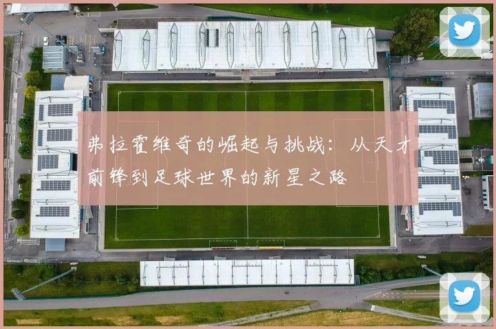 弗拉霍维奇的崛起与挑战：从天才前锋到足球世界的新星之路