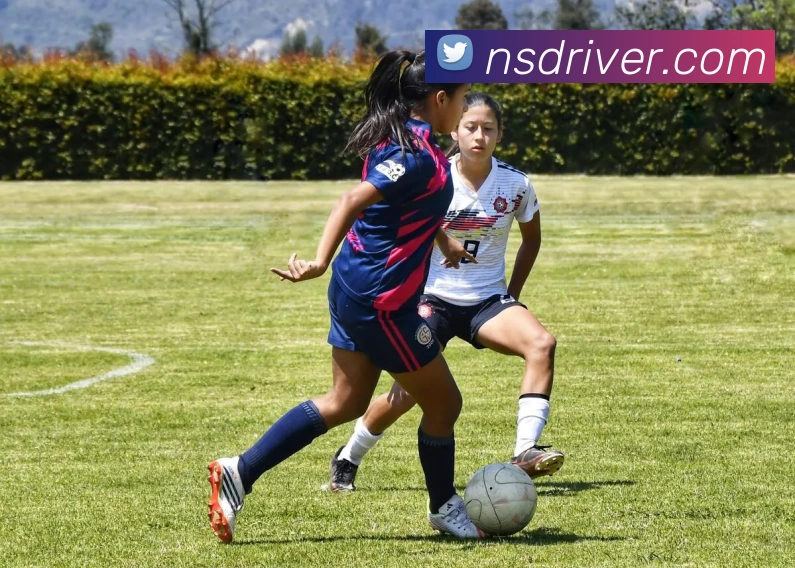 开云体育平台生态图