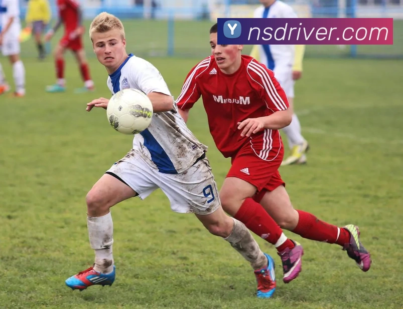 开云体育APP 封面图